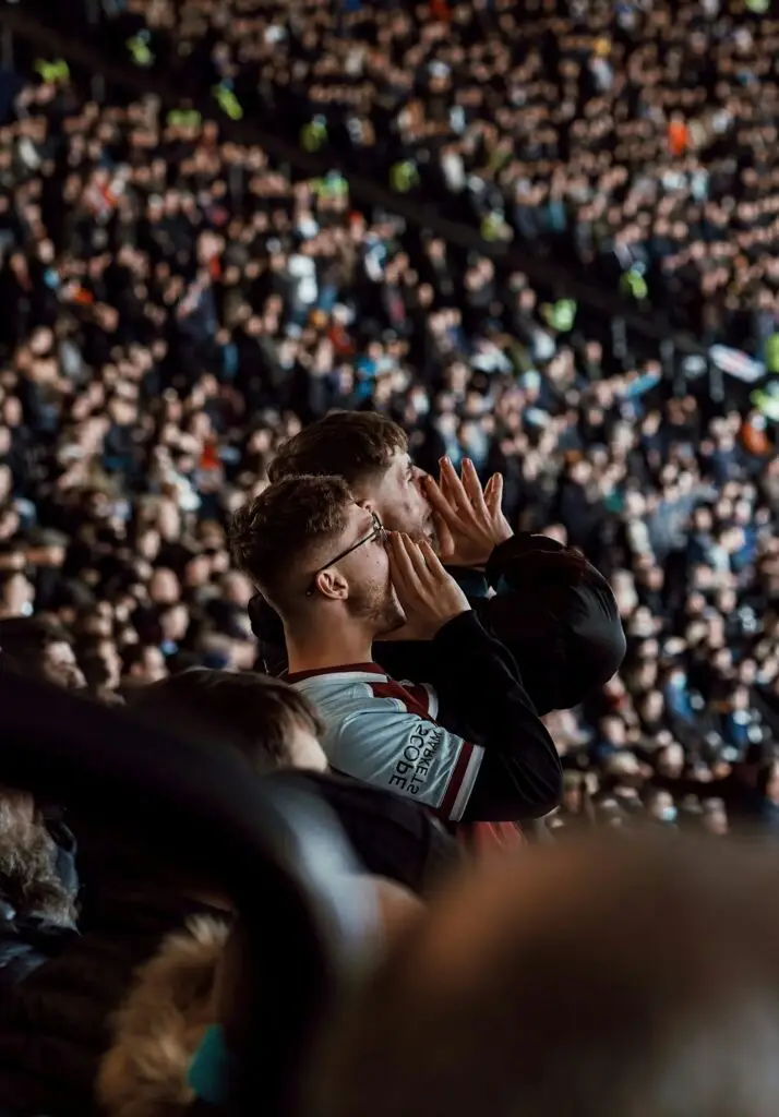 fans ser fodbold