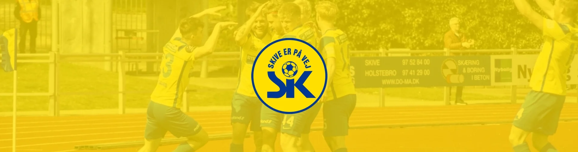Skive IK grafik